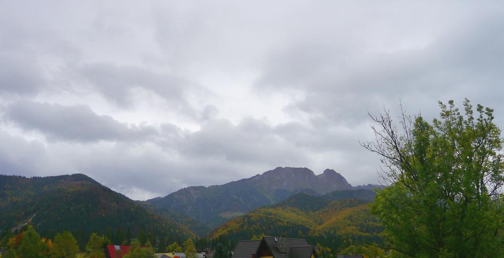 Siklawa Apartman Zakopane Kültér fotó